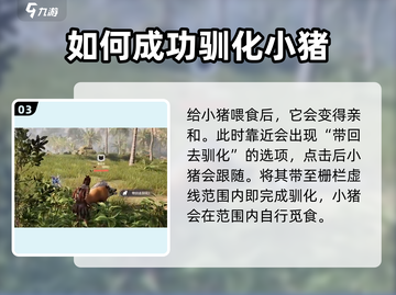 荒野起源🔥养猪攻略，快速养猪称霸游戏！截图4