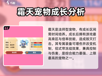 黑星勇者成名录宠物推荐🔥超强阵容必看！截图3