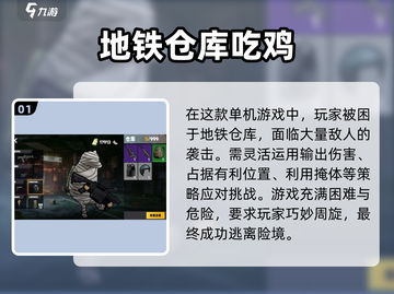 🔥2025必玩单机吃鸡游戏大揭秘🎮截图2