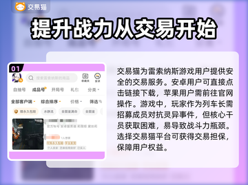 雷索纳斯账号交易安全大揭秘💥🎮截图2