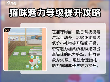 超喵星计划🎁：猫猫礼物攻略大公开！截图2