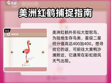 心动小镇🔥必看！鸟类分布位置大揭秘🎉截图5