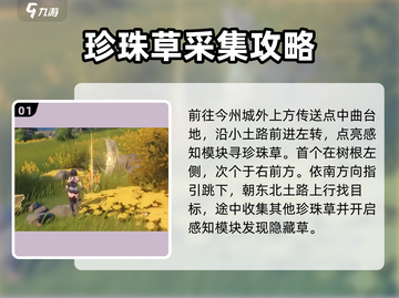 鸣潮🔥珍珠草速刷攻略💎玩家必看！截图2