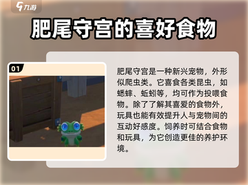 沙石镇时光💥肥尾守宫最爱的物品大曝光！截图2