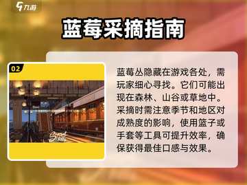 落日山丘蓝莓速找攻略🍓截图3
