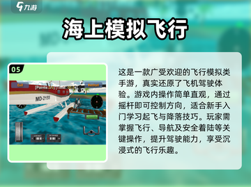 🔥2024最火单机飞行游戏大揭秘！✈截图6