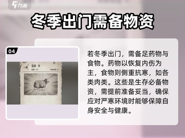 荒野日记🔥冬天时间揭秘！游戏生存必备❄截图5