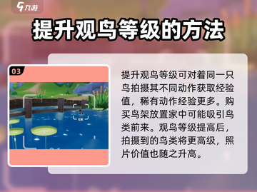 心动小镇观鸟操作🔥超全介绍来啦！🎉截图4