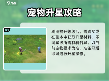 空之勇者手游🔥宠物升星秘籍大曝光！✨截图4