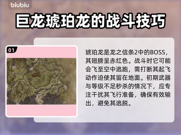 龙之信条2🔥琥珀龙Boss打法攻略💎截图2