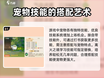 离火之境🔥宠物技能搭配推荐，超强攻略等你来拿！截图2