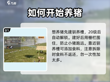 荒野起源🔥养猪攻略，快速养猪称霸游戏！截图2