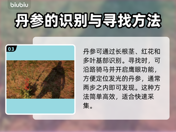 荒野大镖客救赎PC版：丹参位置大揭秘🔥截图4