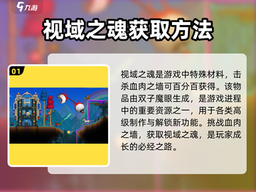 泰拉瑞亚🔥视域之魂获取秘籍，轻松到手超简单！截图2