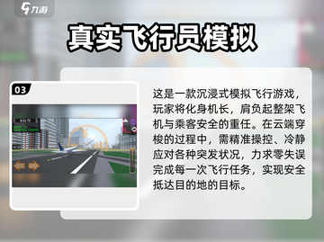 ✈2025超火开飞机游戏推荐！模拟器TOP榜来袭💥截图4