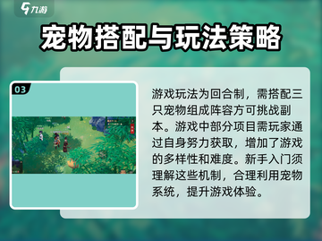 🔥离火之境：新手必看！快速上手秘籍🎉截图4
