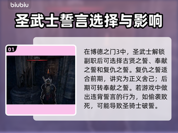 博德之门3🔥圣骑士破誓全过程揭秘！💥截图2