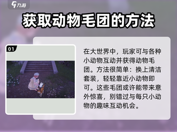无限暖暖动物毛团获取方法大公开！🎮🐾截图2