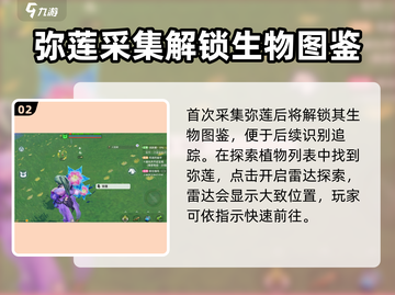 创造吧我们的星球🔥弥莲获取方式大揭秘！💎截图3