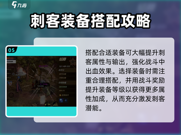 DNF手游🔥刺客装备搭配攻略，轻松秒怪不是梦！截图6