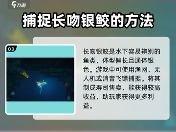 潜水员戴夫长吻银鲛位置大曝光！🎮快来看👇截图4