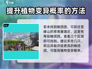 七日世界🔥蜂团团获取攻略💡新手必看！截图4