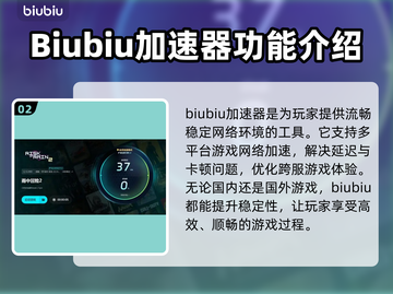 雨中冒险2⚡不卡顿必备加速器推荐！截图3