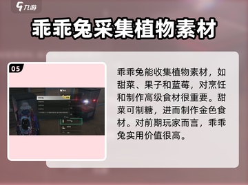 七日世界✅乖乖兔收容攻略，轻松搞定兔子🎉截图6