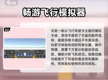 ✈2025必玩飞行模拟游戏🔥超全盘点！截图3