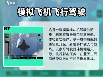2024必玩🔥模拟飞行手游推荐✈截图6