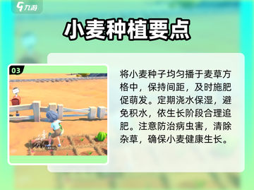 🌾《沙石镇时光》小麦暴富秘籍！💰截图4