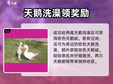 无限暖暖 NIGHT天鹅绒获取秘籍🌟截图4