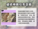 王权与自由🔥迷路灵魂任务完全攻略！💡截图2
