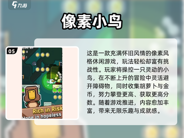 🐦爆款小鸟消除游戏TOP榜！2025必玩合集💥截图6