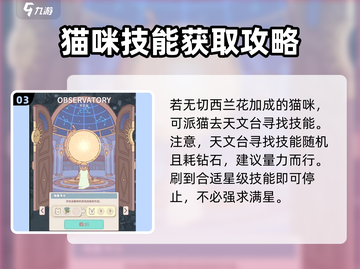 猫咪和汤切西兰花🔥解锁全成就方法💎截图4