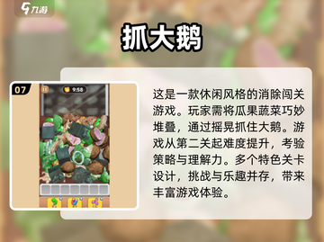 玩转2025🔥超热门大白鹅游戏合集🎉截图8