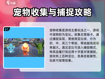 奥拉星2🔥超全玩法攻略分享，手游新手必看！截图2