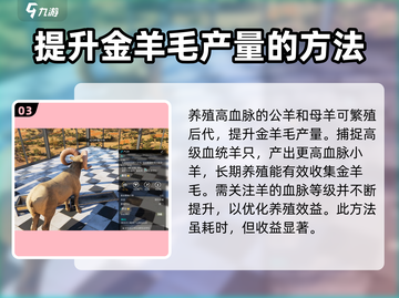 七日世界金羊毛获取攻略🔥超详细解析🎮截图4