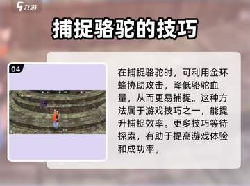 妄想山海🔥百分百抓蛋技巧，轻松GET抓蛋方法！截图5