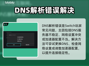 💥Switch2加速器DNS解析错误？速看解决教程！🎮截图2