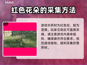 浪人崛起🔥寻找药材任务超详细攻略来啦！截图6