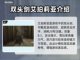艾尔登法环⚡黄金树影艾珀莉亚获取攻略✨截图2