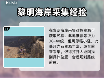 王权与自由⚡升级秘籍🔥快速提升等级！截图2