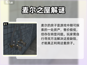 🎮麦尔的房子大揭秘！豪宅细节曝光💥截图2
