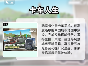 2025🔥真实卡车模拟游戏TOP榜！🎮截图7