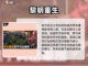 🔥2024必玩！超燃打击感手游推荐🎮截图6