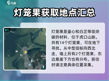 鸣潮🔥灯笼果位置全揭秘！快收藏💡截图2