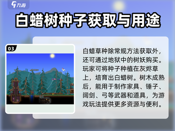 泰拉瑞亚🔥白蜡木获取秘籍，速来掌握！截图4