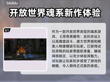 洛奇英雄传加速器推荐🔥让你的游戏体验更畅快！🎮截图2