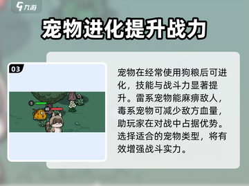 英勇之地🐶：揭秘狗粮真相，玩家必看！截图4